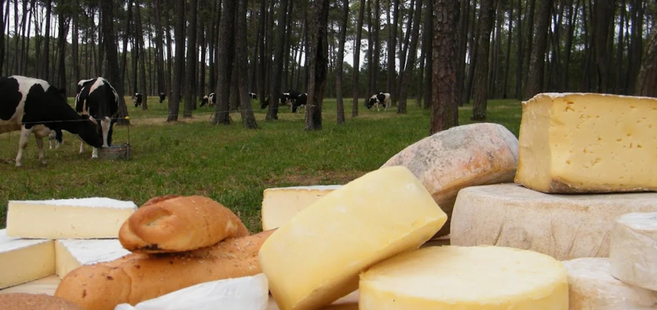 TIPOS DE LECHE: DIFERENCIAS ENTRE LECHE CRUDA, PASTEURIZADA Y UHT